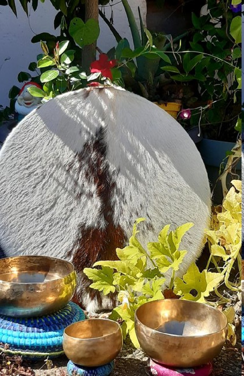 * Soins quantiques, Sons guérisseurs et Esprit des plantes

Les Soins quantiques vous accompagnent à trouver l'origine de vos difficultés, à libérer...